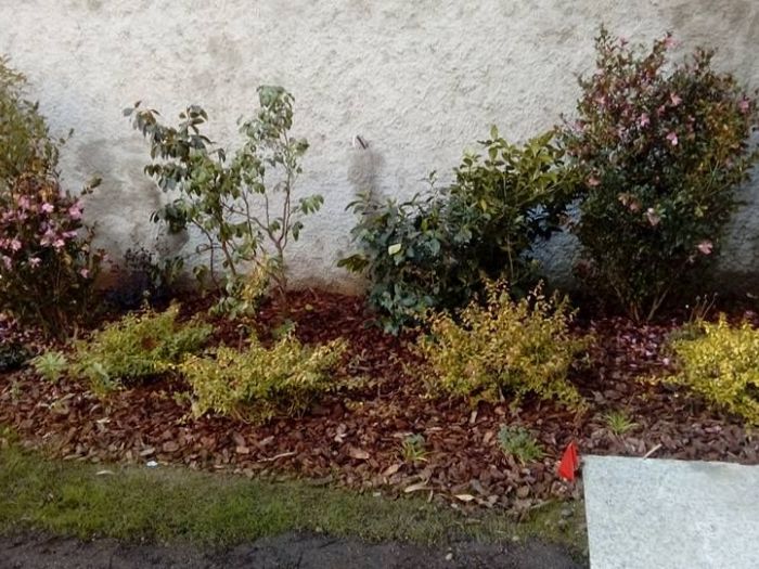 Archisio - I Giardini Dei Tudor - Progetto Manutenzione area verde privato