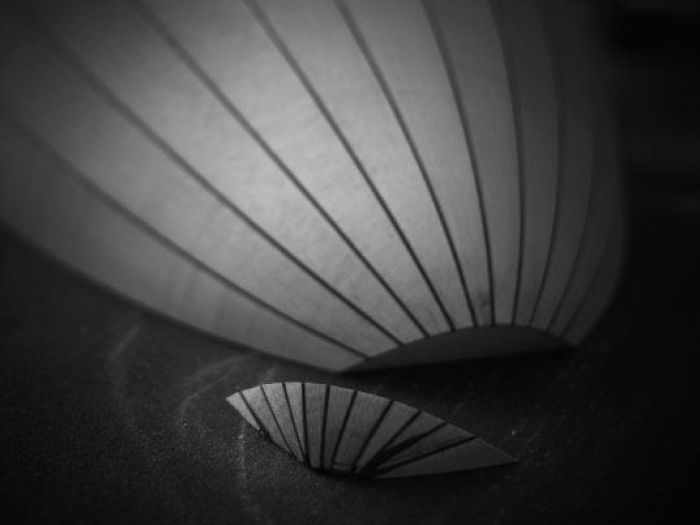 Archisio - Andrea Cutelli Fotografo - Progetto Fotografie in bianco e nero