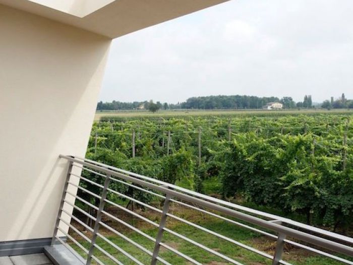 Archisio - Glagabriele Lottici Architetto - Progetto Casa nella vigna