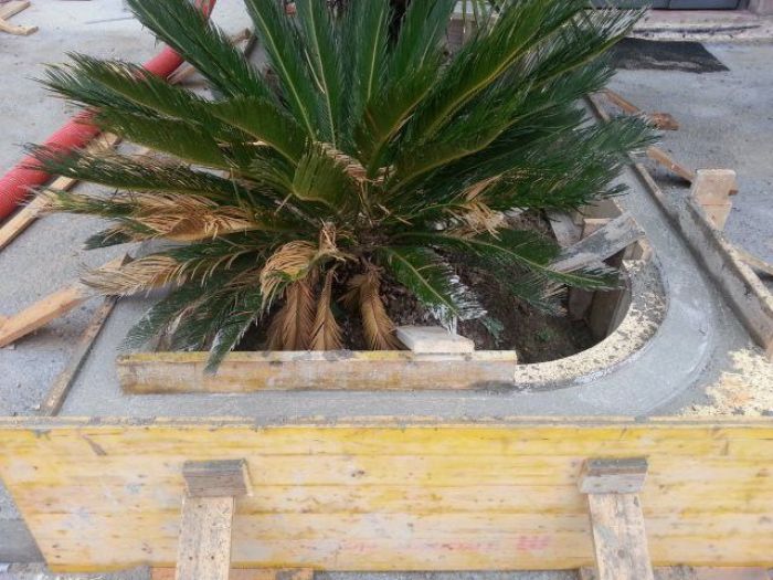 Archisio - Impresa Edile Antonelli E Gattari - Progetto Marciapiedi fioriere e pavimenti in porfido