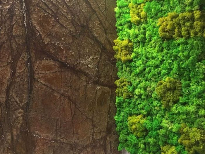 Archisio - Pierfrancesco Arnone - Progetto Monolocale eclettico