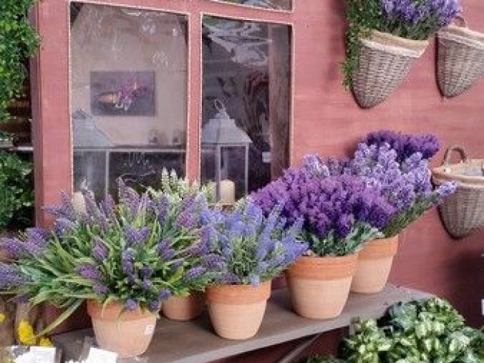 Archisio - Piante Macri - Progetto Il garden