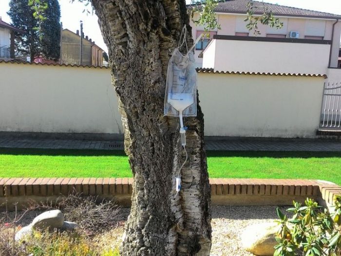 Archisio - Claudio Raiteri Verde Giardino - Progetto Endoterapia