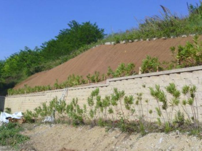 Archisio - Riccardo Traini - Progetto Ingegneria naturalistica