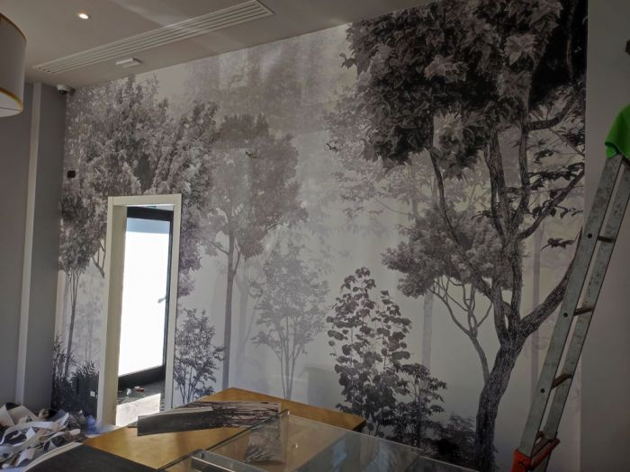 Archisio - Vendumm - Progetto Carta da parati le mur qui parle