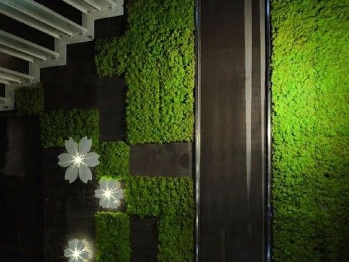 Archisio - Dotto Francesco Consulting Green - Progetto Verde verticale interno casa