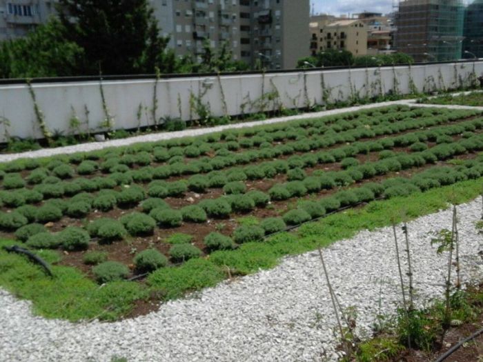 Archisio - Maria Giammarresi - Progetto Giardino pensile - arriva con la legge di bilancio 2018 il bonus verde per giardini terrazzi balconi giardini pensili e coperture anche condominiali - il nostro studio fornisce la consulenza necessaria ai fini dellottenimento del bonus