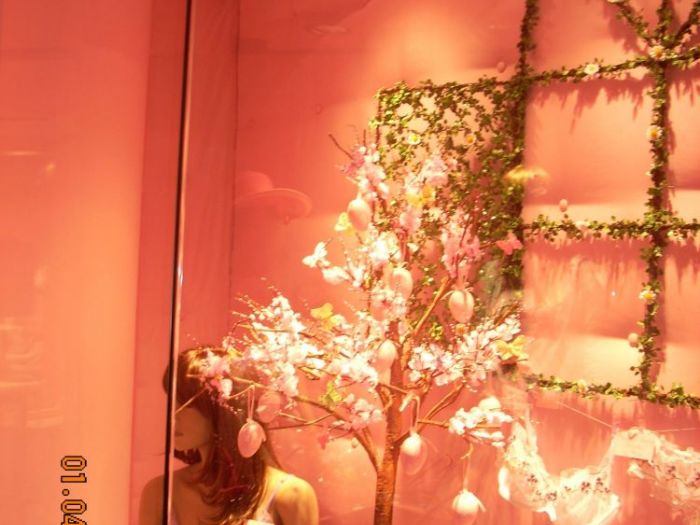 Archisio - Fal Service Sas Illuminazione Marchioretto - Progetto FAL SERVICE SAS ILLUMINAZIONE MARCHIORETTO