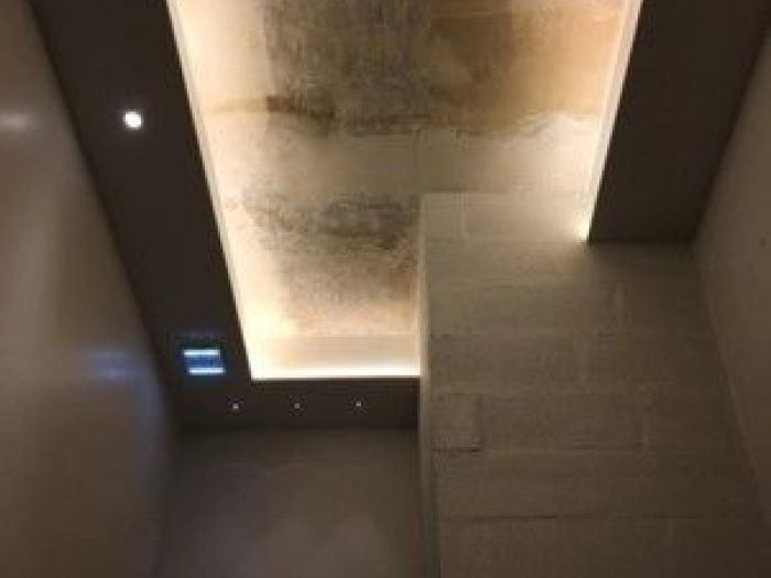 Archisio - X Studio - Progetto Loft - parigi 2016