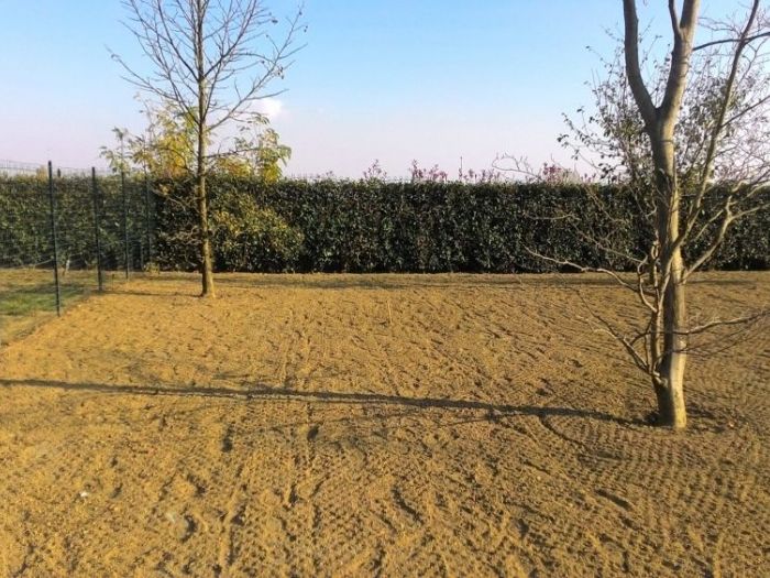 Archisio - Claudio Raiteri Verde Giardino - Progetto Irrigazione rigenerazione pratorigenerazione pratotree climbingisolamento solai