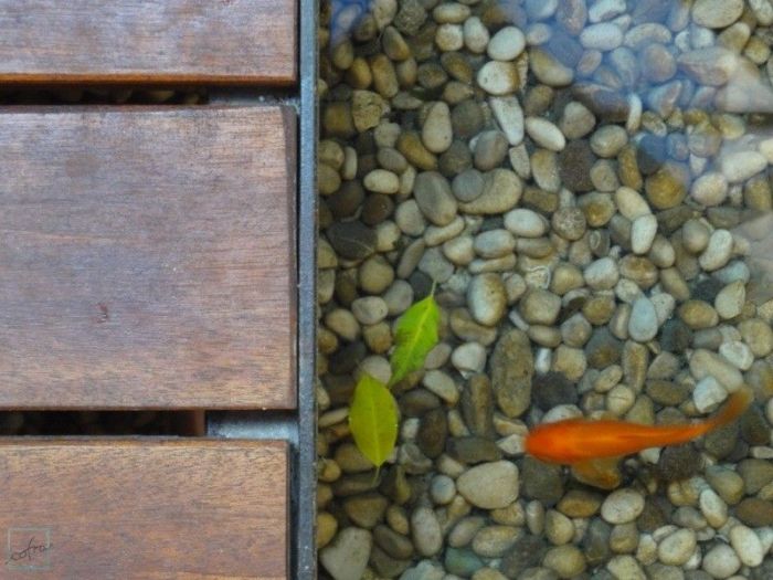 Archisio - Cofra Architettura Design Innovazione - Progetto Ampliamento sede