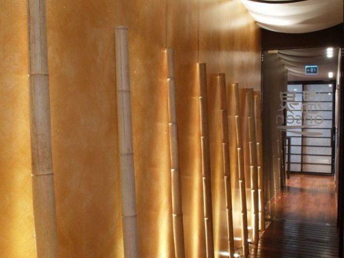 Archisio - Bianca Maria Canepa - Progetto Onsen