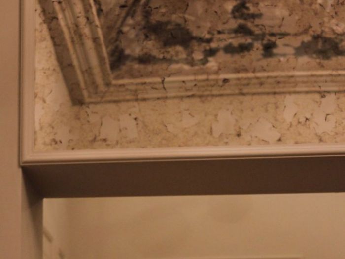 Archisio - Design Project - Progetto Fico moro