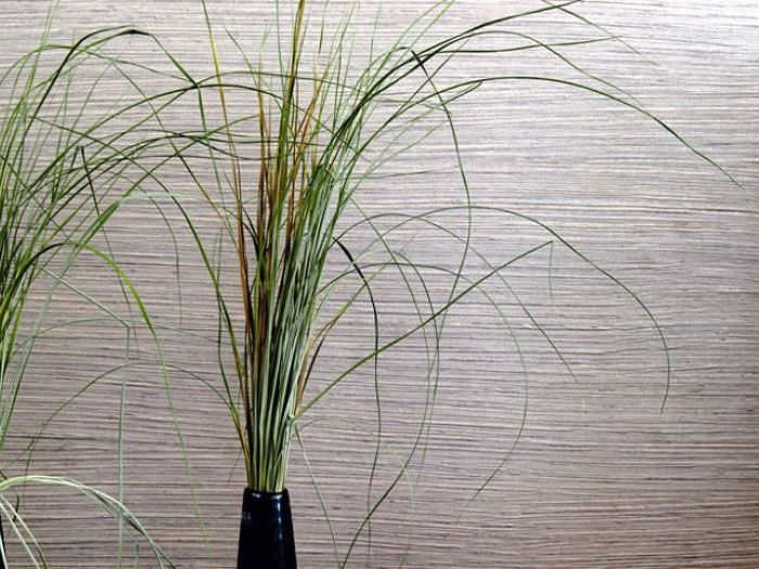 Archisio - Dogliani Imbiancature - Progetto Imbiancature