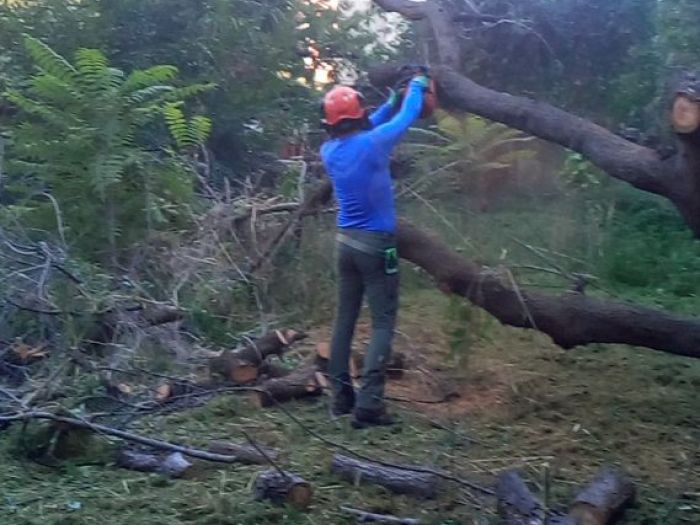 Archisio - Franco Lanzellotta Family Service - Progetto Cura giardino