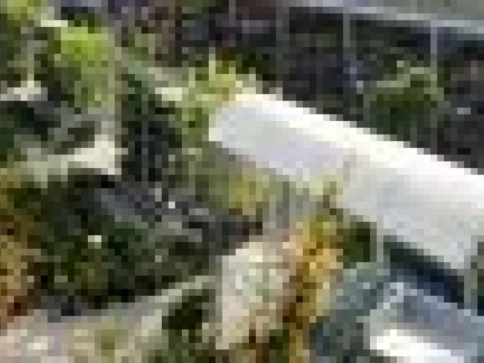 Archisio - Piante Macri - Progetto Il vivaio