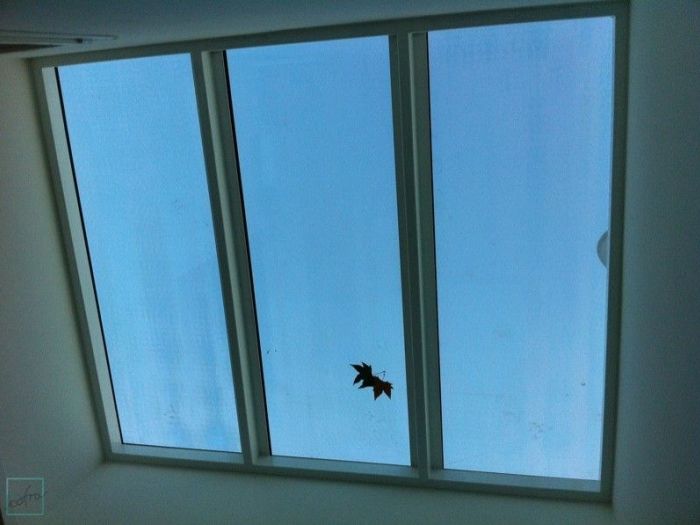 Archisio - Cofra Architettura Design Innovazione - Progetto Progetto abitazione bifamiliare