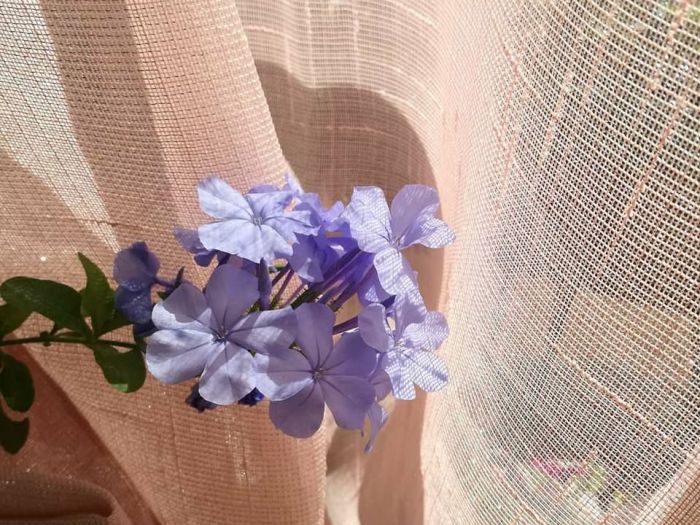 Archisio - Anna Claudia Bufo - Progetto Progetti