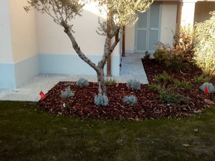 Archisio - I Giardini Dei Tudor - Progetto Manutenzione area verde privato