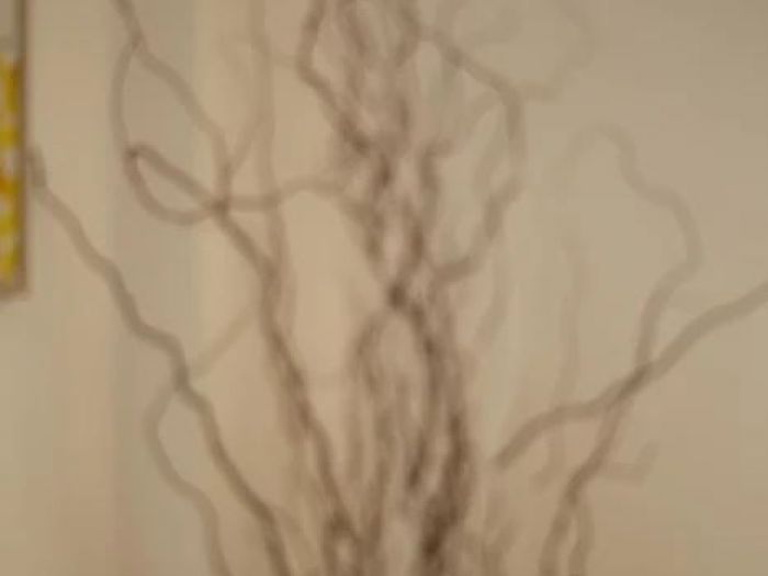 Archisio - Angela Paniccia - Progetto Home staging di appartamento in condominio indipendente