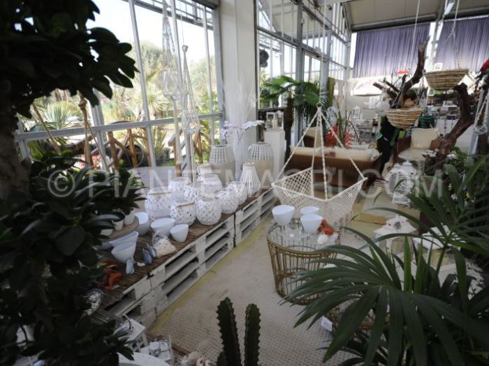 Archisio - Piante Macri - Progetto Il garden