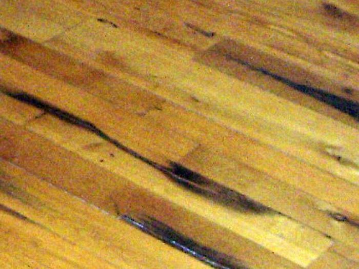 Archisio - Falegnameria Ferruzzi - Progetto Falegnameria