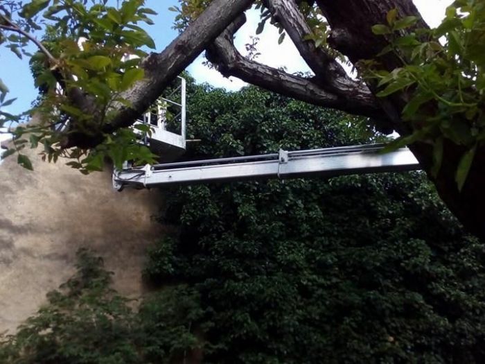 Archisio - Impresa Edile Pappalardo Romoaldo - Progetto Rifacimento pavimentazione del giardino