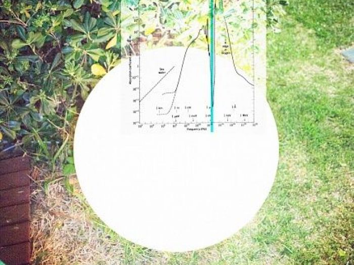 Archisio - Alev Studio8 - Progetto Fotografie darte