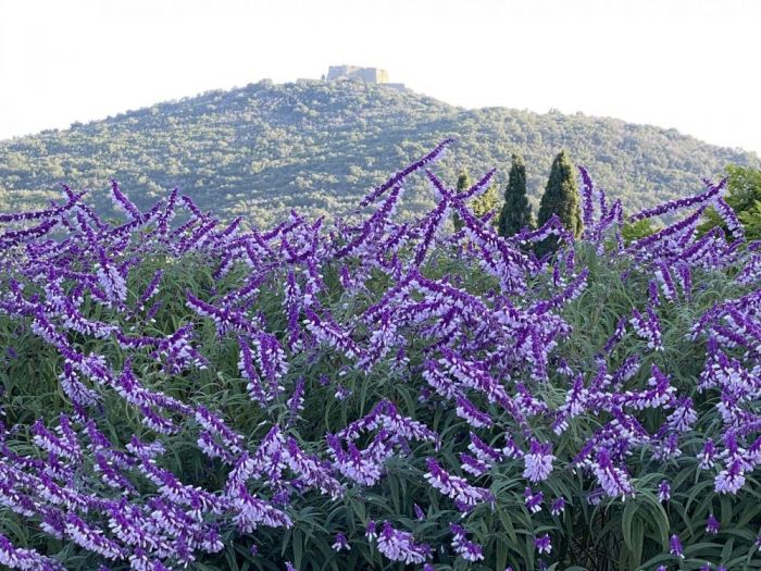 Archisio - Claudia Dibbe Piazza - Progetto Casa a porto ercole