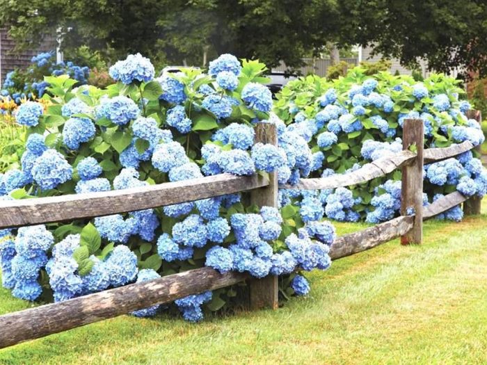 Archisio - Vivai Cantatore - Progetto Piante