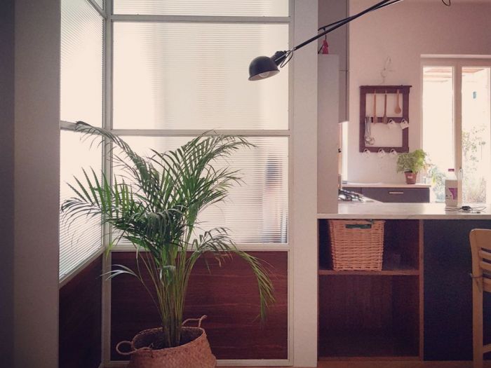 Archisio - Studio Ics - Progetto Casa privata