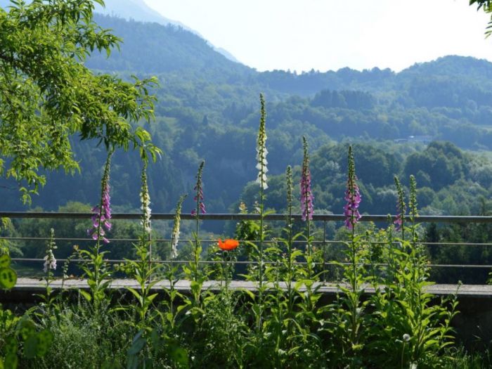 Archisio - Luca Docci - Progetto Giardino naturale