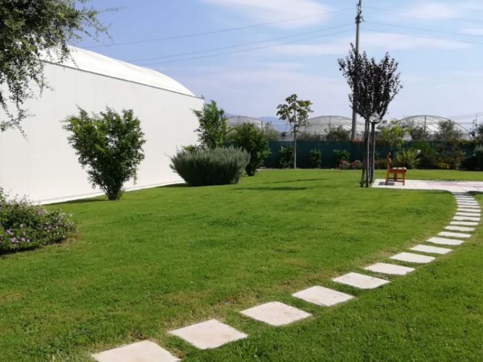 Archisio - Verdein Ss - Progetto Galleria