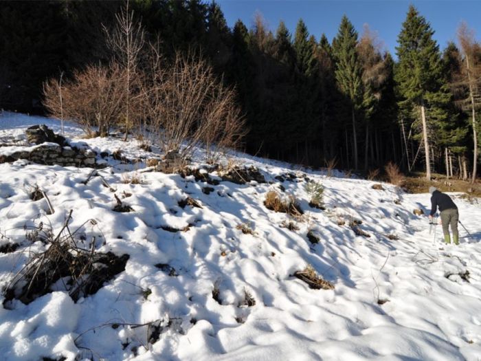 Archisio - Didon Comacchio Architects - Progetto House ss