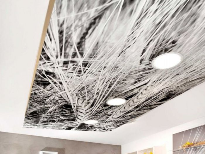 Archisio - Dharma Architettura - Progetto Panificio-pasticceria-bar