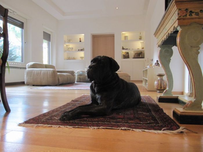 Archisio - Giuseppe Bisceglia - Progetto Casa san godenzo - 130mq