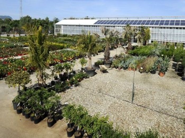 Archisio - Piante Macri - Progetto Il vivaio