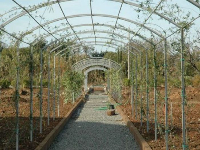 Archisio - Open Space Projects - Progetto Parco casale spagnolo orbetello