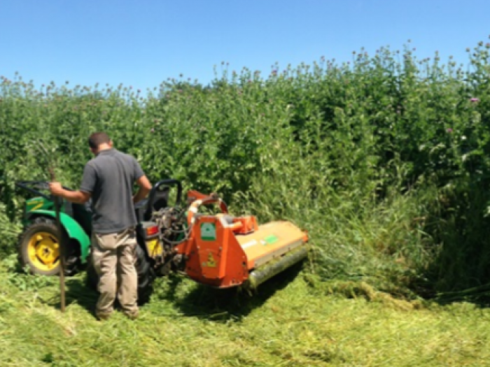 Archisio - Sofi Costruzioni - Progetto Lavori esterni