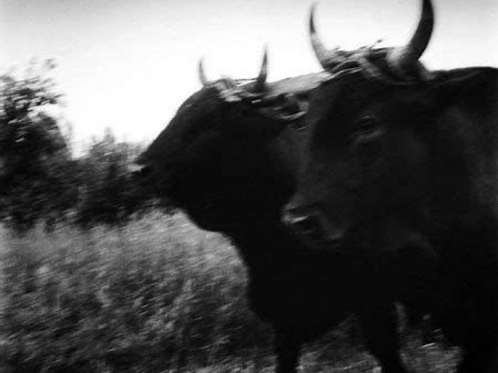 Archisio - Fotografi-dariocoletti - Progetto Foto