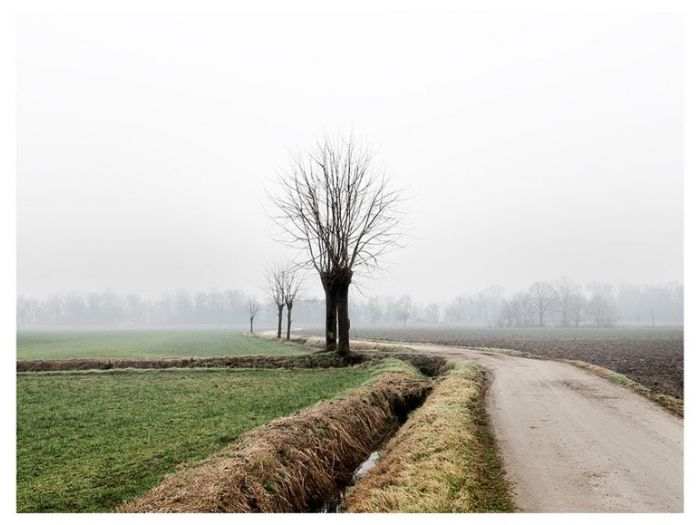 Archisio - Marco Tacchini Fotografo - Progetto Homeland