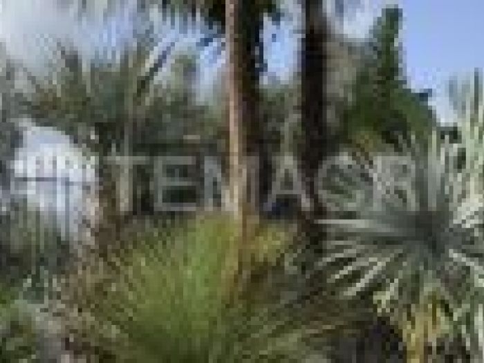 Archisio - Piante Macri - Progetto Il garden