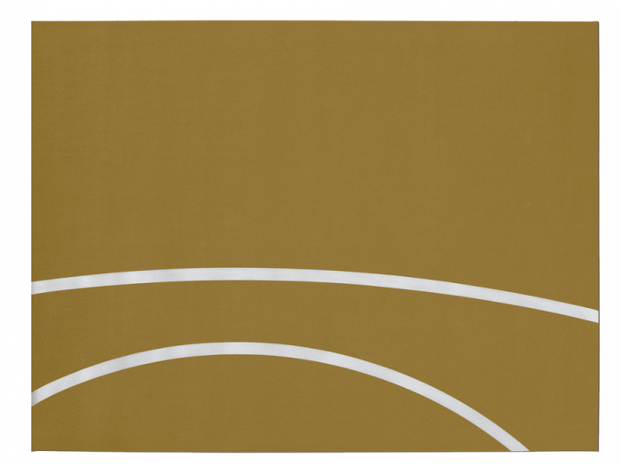 Archisio - Regenesi - Progetto Dcor regenesi