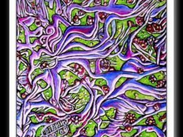 Archisio - Sandro Di Bella - Progetto Sandro di bella portfoglio