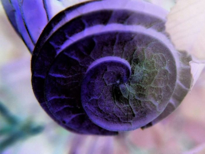 Archisio - Gianluca Vetrugno Meltem Kosan the Art Of The Negative - Artisti - Progetto Galleria 1 fotografie astratte