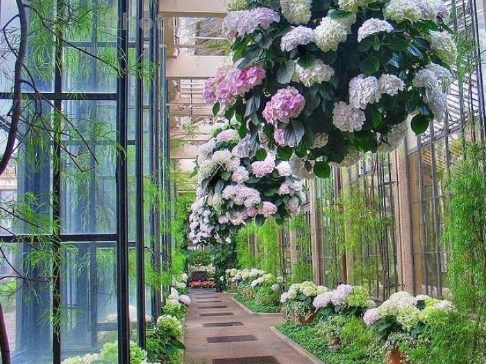 Archisio - Vivai Cantatore - Progetto Piante