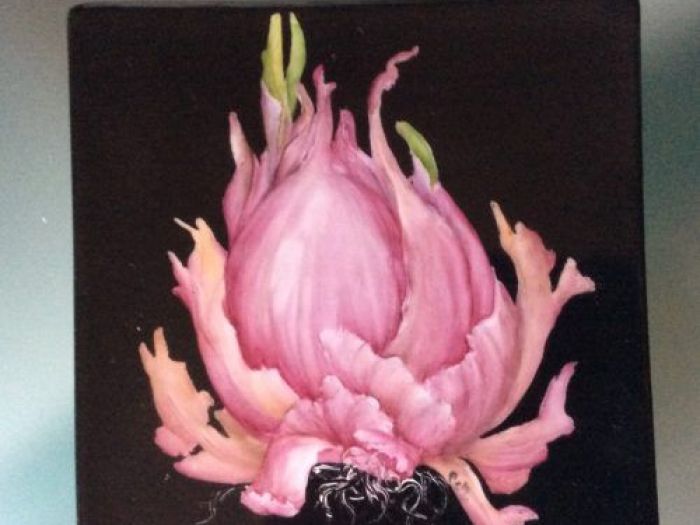 Archisio - Paola Codazzi - Progetto Servizi da tavola