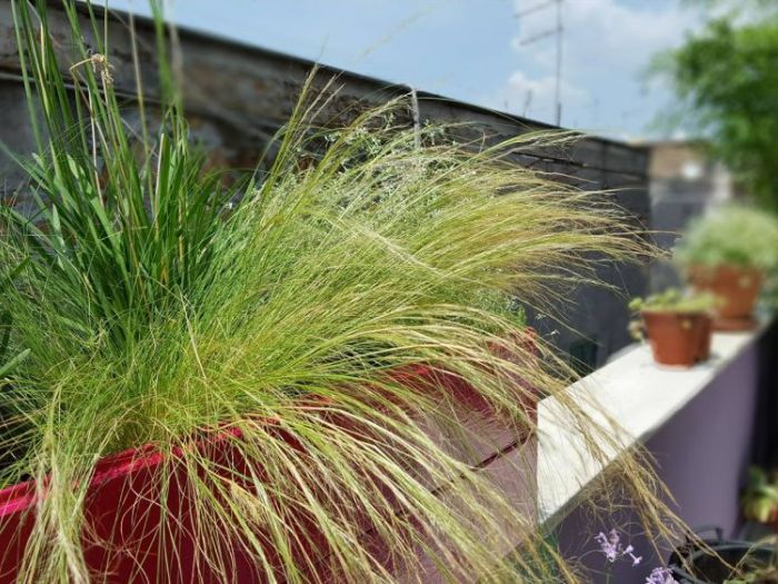 Archisio - P432 Studio - Progetto Un certoterrazzo al pigneto