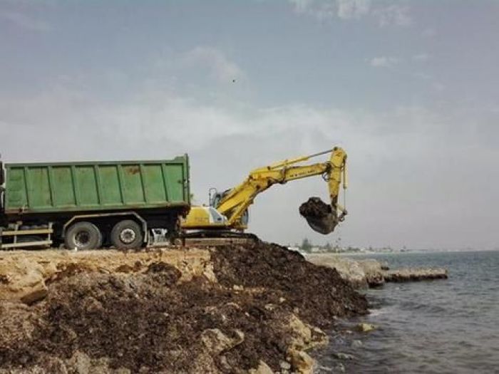 Archisio - New System Service Soc Cons Arl - Progetto Pulizia spiaggia