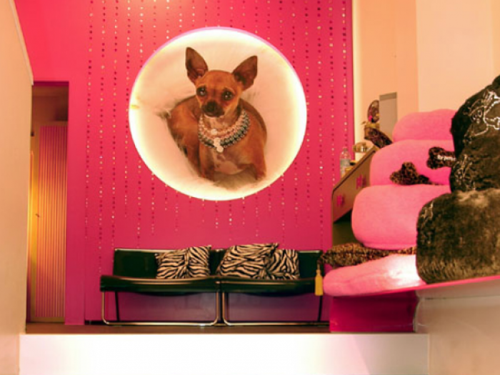 Archisio - Matstudio Dressupyourhome By Matstudio - Progetto 06 for pets only milano